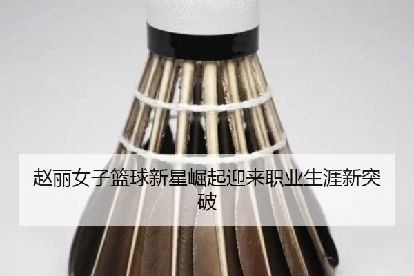 赵丽女子篮球新星崛起迎来职业生涯新突破